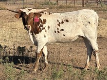 BR Playing with Fire