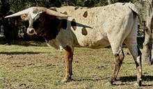 NRR Rocking on Sunshine☀️